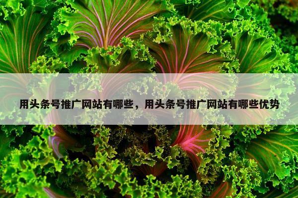 用头条号推广网站有哪些，用头条号推广网站有哪些优势