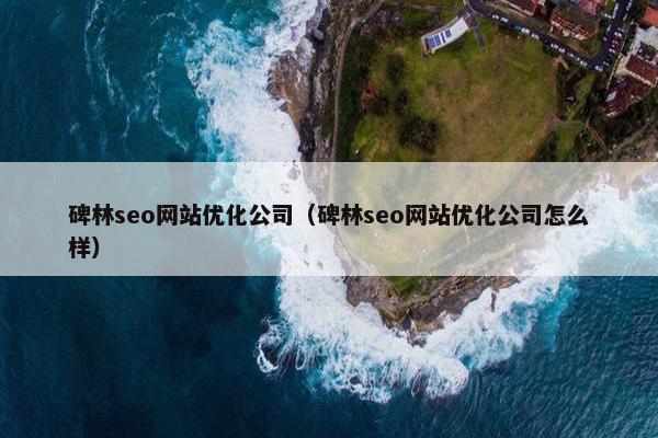 碑林seo网站优化公司(碑林seo网站优化公司怎么样) 碑林seo网站优化公司(碑林seo网站优化公司怎么样)