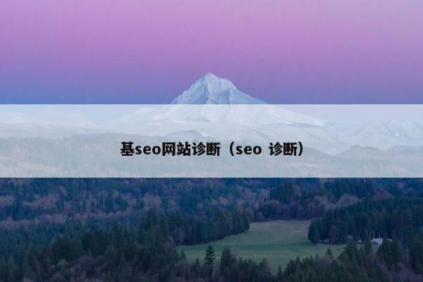 基seo网站诊断（seo 诊断）