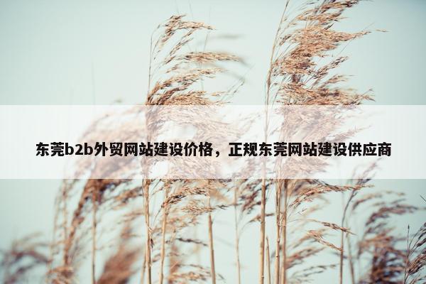 东莞b2b外贸网站建设价格，正规东莞网站建设供应商