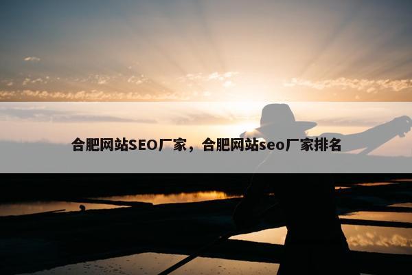 合肥网站SEO厂家，合肥网站seo厂家排名