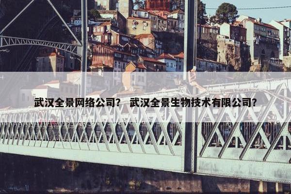 武汉全景网络公司？ 武汉全景生物技术有限公司？
