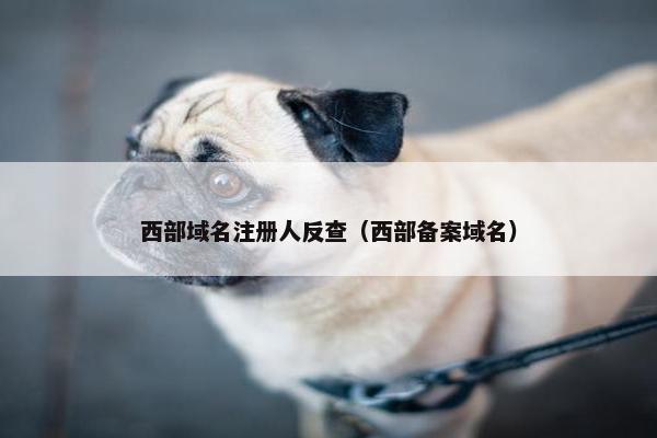 西部域名注册人反查（西部备案域名）