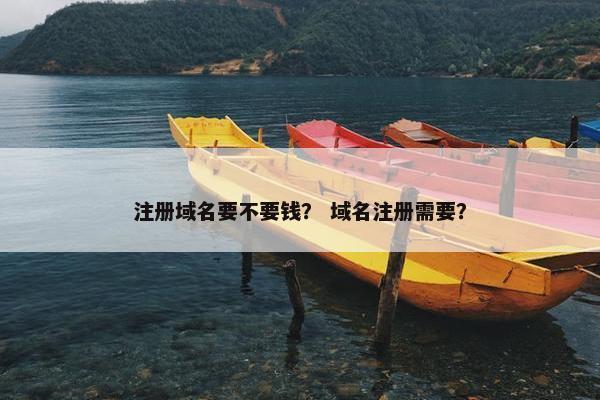 注册域名要不要钱？ 域名注册需要？