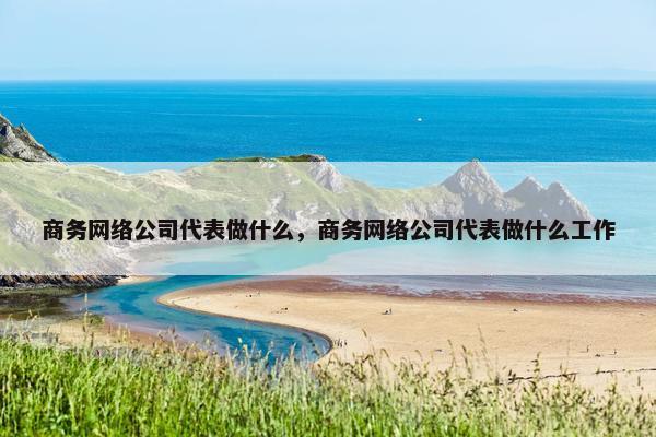 商务网络公司代表做什么，商务网络公司代表做什么工作