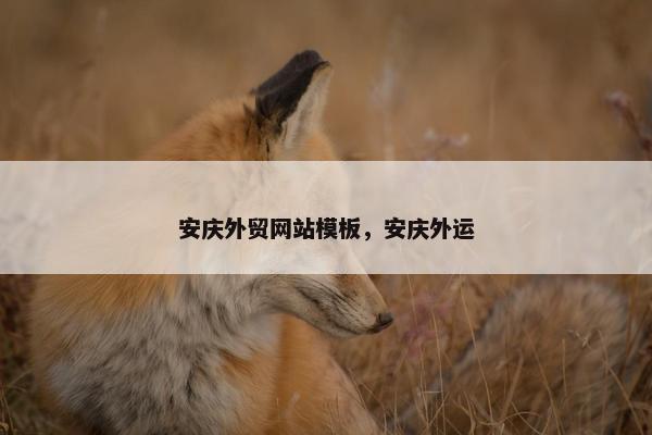 安庆外贸网站模板，安庆外运