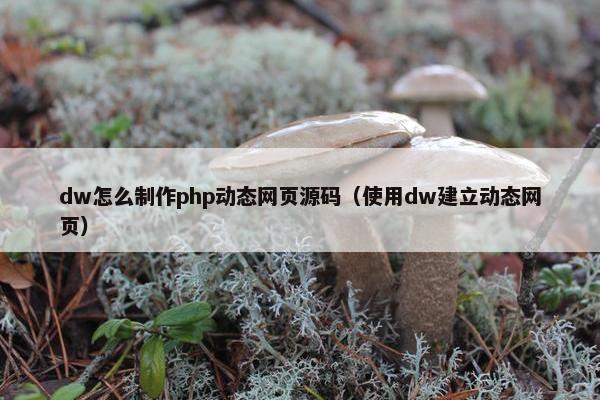 dw怎么制作php动态网页源码（使用dw建立动态网页）