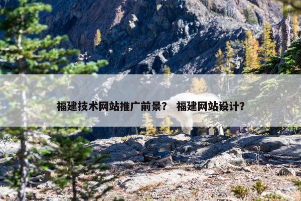 福建技术网站推广前景？ 福建网站设计？