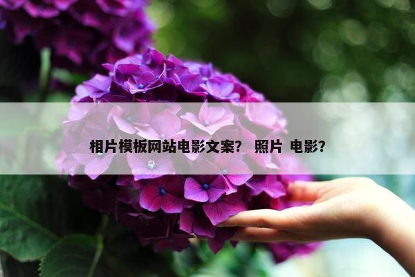 相片模板网站电影文案？ 照片 电影？