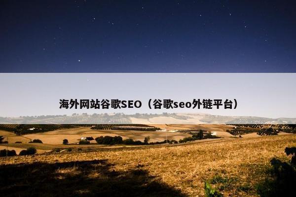 海外网站谷歌SEO（谷歌seo外链平台）