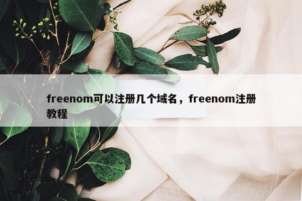 freenom可以注册几个域名，freenom注册教程