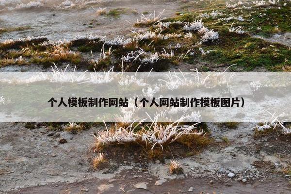 个人模板制作网站（个人网站制作模板图片）