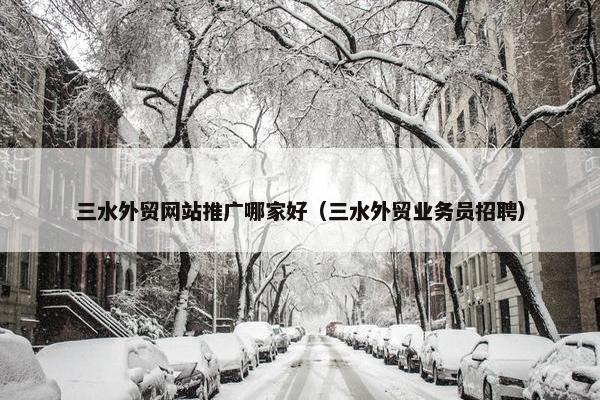 三水外贸网站推广哪家好（三水外贸业务员招聘）