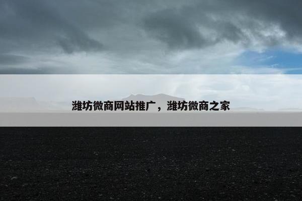 潍坊微商网站推广，潍坊微商之家