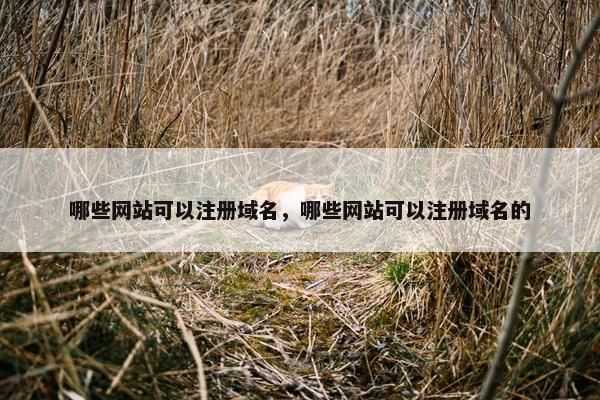 哪些网站可以注册域名，哪些网站可以注册域名的
