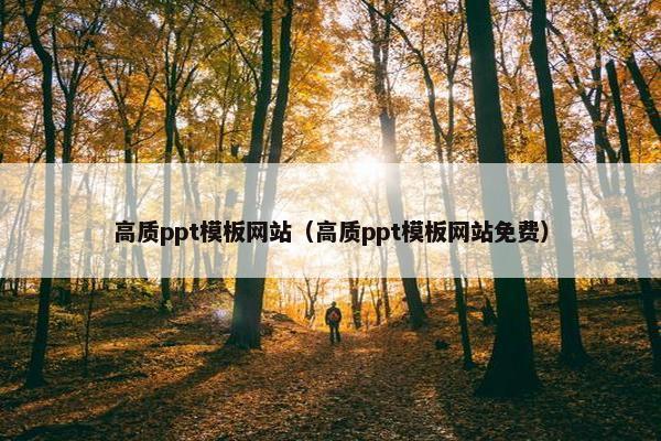 高质ppt模板网站（高质ppt模板网站免费）
