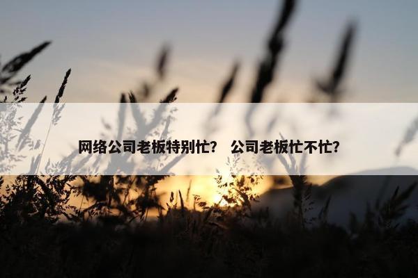 网络公司老板特别忙？ 公司老板忙不忙？