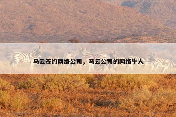 马云签约网络公司，马云公司的网络牛人