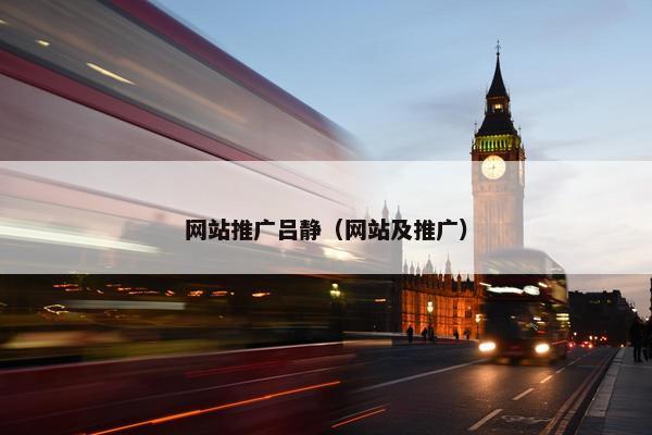 网站推广吕静（网站及推广）