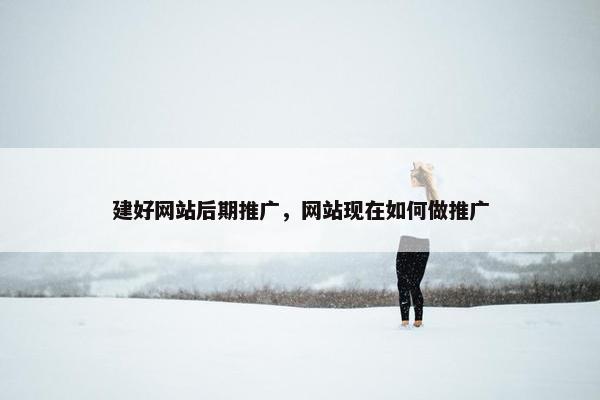 建好网站后期推广，网站现在如何做推广