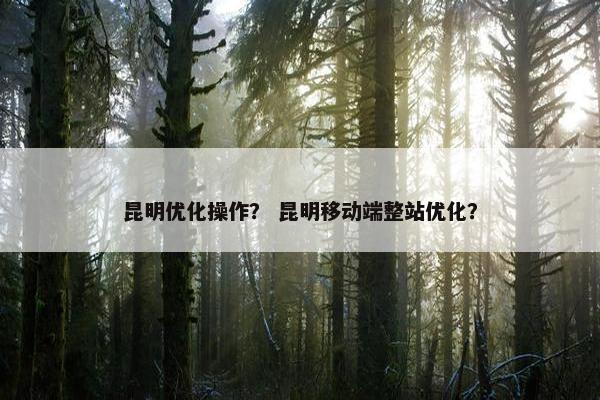 昆明优化操作？ 昆明移动端整站优化？