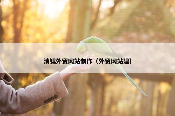 清镇外贸网站制作（外贸网站建）