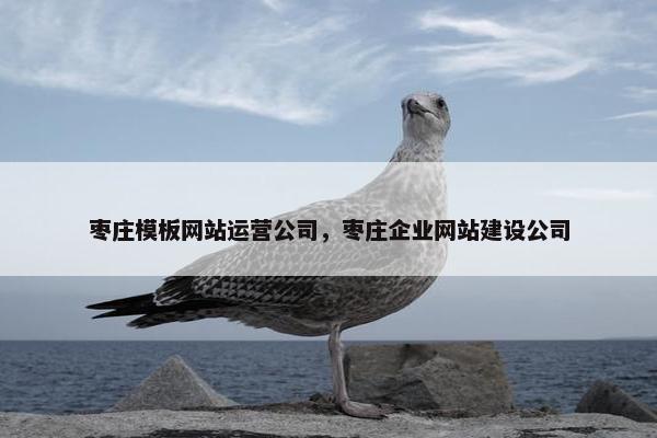 枣庄模板网站运营公司，枣庄企业网站建设公司