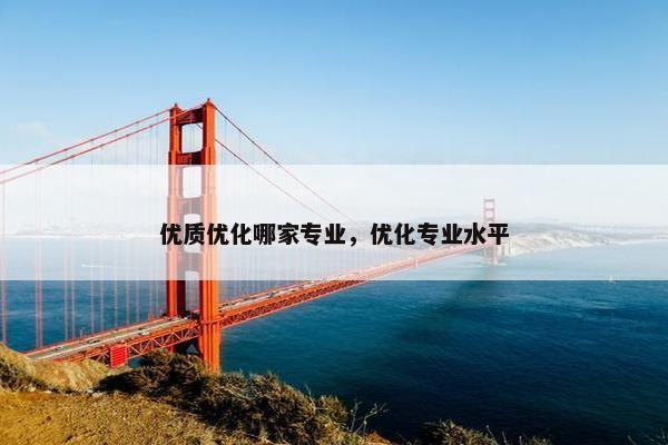 优质优化哪家专业，优化专业水平