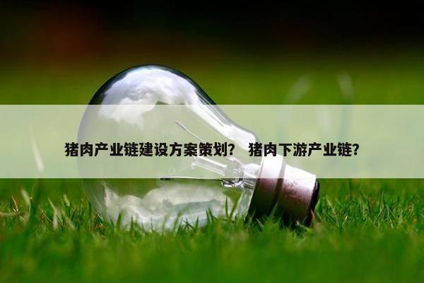 猪肉产业链建设方案策划？ 猪肉下游产业链？