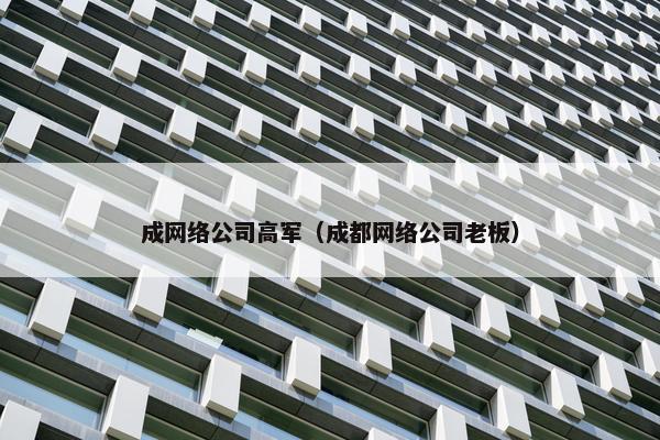 成网络公司高军（成都网络公司老板）