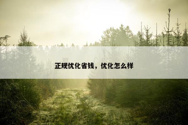正规优化省钱，优化怎么样