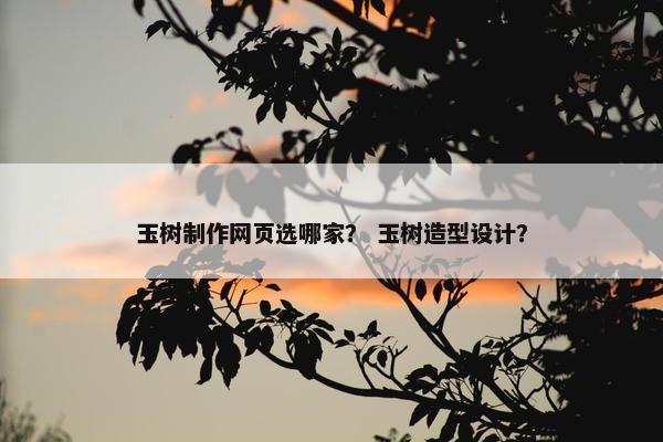 玉树制作网页选哪家？ 玉树造型设计？