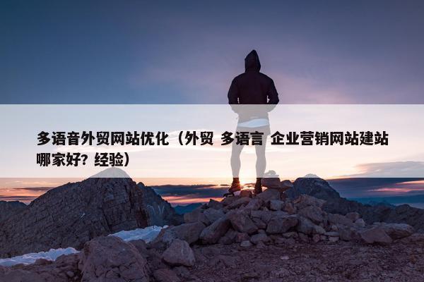 多语音外贸网站优化（外贸 多语言 企业营销网站建站哪家好? 经验）