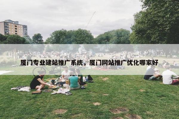 厦门专业建站推广系统，厦门网站推广优化哪家好