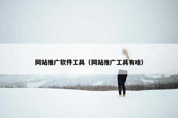 网站推广软件工具（网站推广工具有啥）