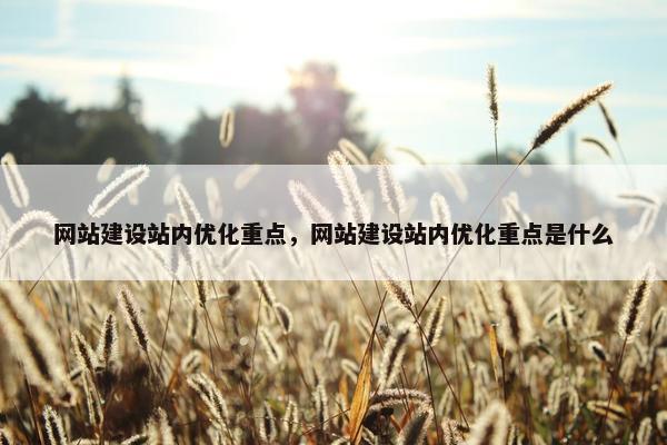 网站建设站内优化重点，网站建设站内优化重点是什么