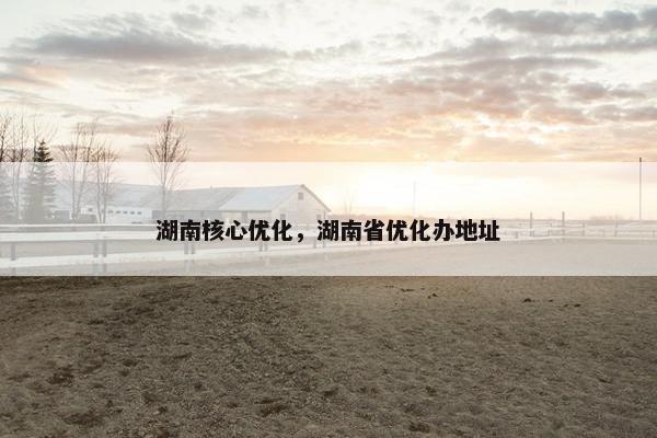湖南核心优化，湖南省优化办地址