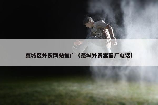 藁城区外贸网站推广（藁城外贸宫面厂电话）