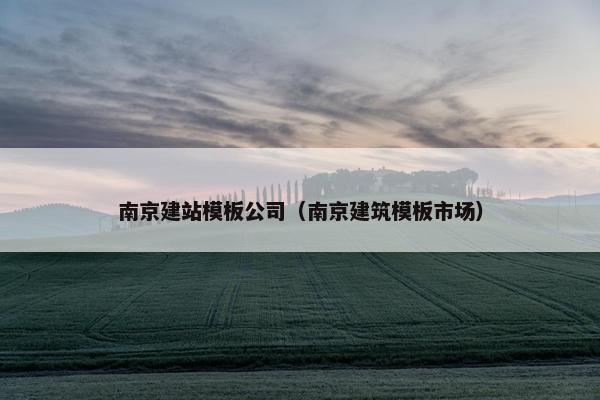 南京建站模板公司（南京建筑模板市场）