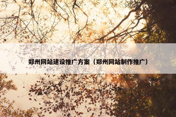 郑州网站建设推广方案（郑州网站制作推广）