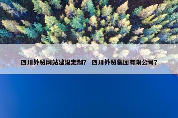四川外贸网站建设定制？ 四川外贸集团有限公司？