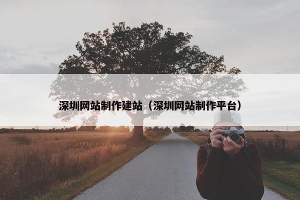 深圳网站制作建站（深圳网站制作平台）