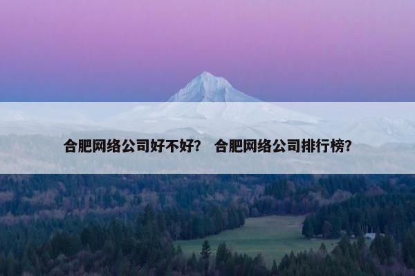 合肥网络公司好不好？ 合肥网络公司排行榜？