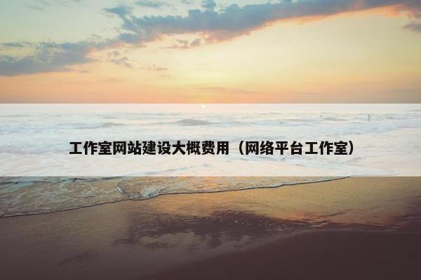 工作室网站建设大概费用（网络平台工作室）