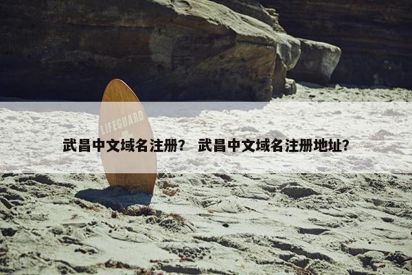 武昌中文域名注册？ 武昌中文域名注册地址？