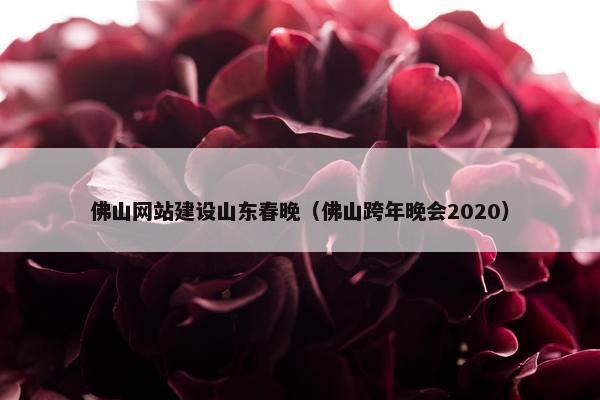 佛山网站建设山东春晚（佛山跨年晚会2020）