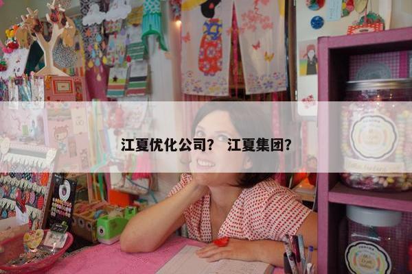 江夏优化公司？ 江夏集团？