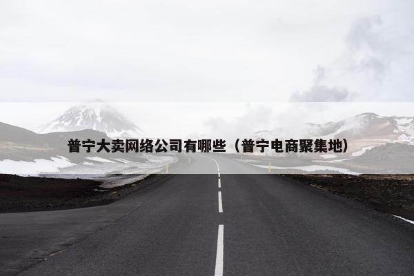 普宁大卖网络公司有哪些（普宁电商聚集地）