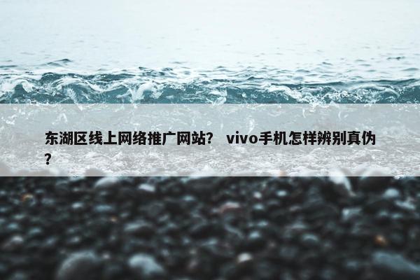 东湖区线上网络推广网站？ vivo手机怎样辨别真伪？