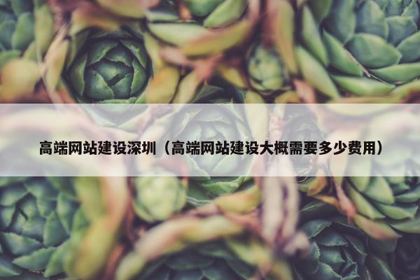 高端网站建设深圳（高端网站建设大概需要多少费用）